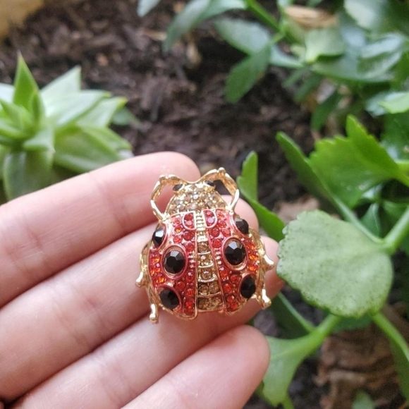 New Adorable Ladybug Brooch Pin - Picture 2 of 4